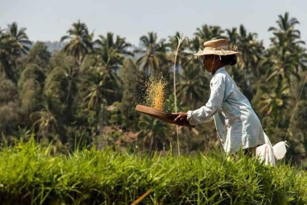 Villa Mimpi Nyata Canggu Kültér fotó