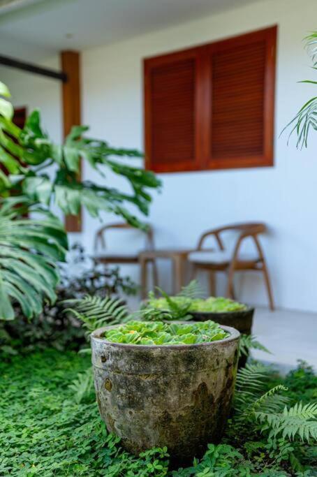 Villa Mimpi Nyata Canggu Kültér fotó