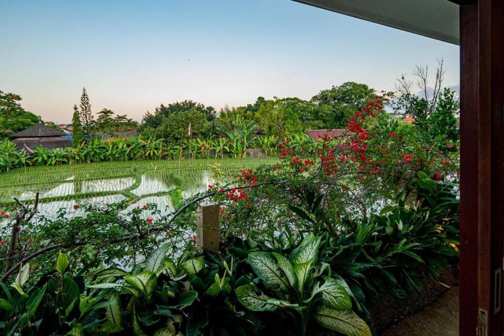 Villa Mimpi Nyata Canggu Kültér fotó